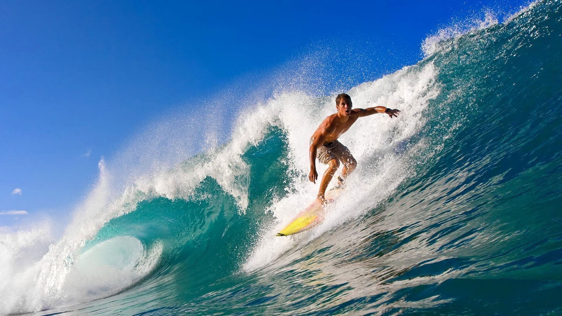 _全天候极限挑战:在不同天气中比拼速度_,极限挑战天气预报美女是谁